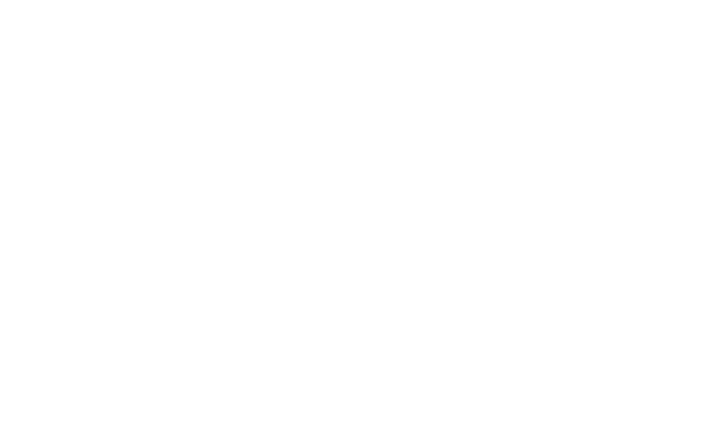 BDP Airways